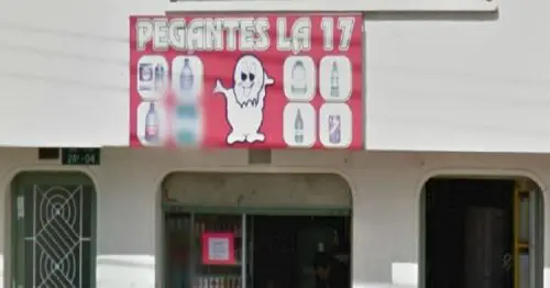 PEGANTES DE LA 17 PEGANTES DE LA 17